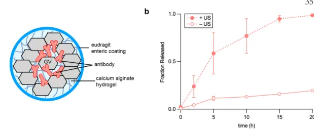 Fig. 4 GV-gels for oral delivery of biomolecules. a, Illustration of antibody loaded GV-gel  based on calcium alginate