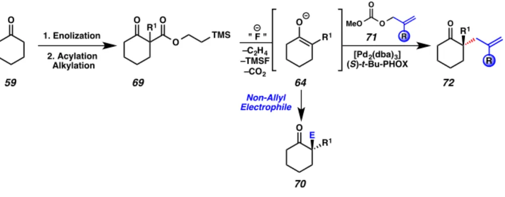 Figure 2.1.3.2. TMSE  β -ketoester approach to latent enolate chemistry 