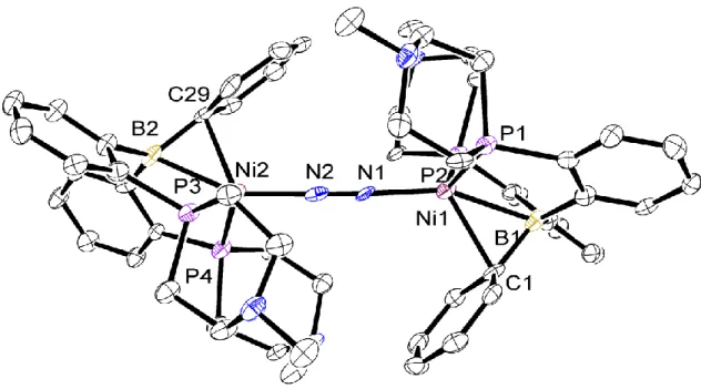 Figure 3.1: ORTEP representation of [(DP * B Ph )Ni] 2 (N 2 ), H atoms have been omitted for  clarity