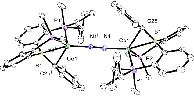 Figure 2.1: ORTEP representation of the N 2  bridged dimer generated by inversion symmetry  in the solid-state structure of (DPB)Co(N 2 )