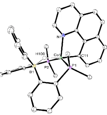 Figure  2.8:  ORTEP  representation  of  of  (DPBH)Co(benzo[h]quinolin-10-yl). 
