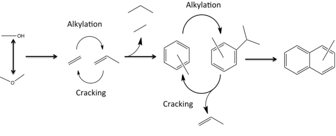 Figure 8-5 Schematic mechanism for methanol-to-hydrocarbons chemistry 