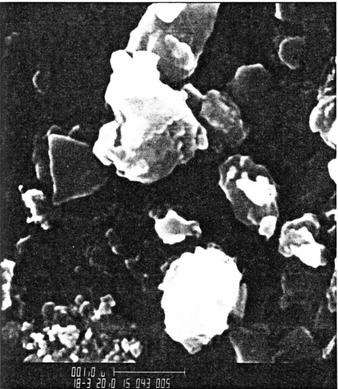 Figure  3-1.  SEM  photo  of  11.1  m  sample  from  central  Cactus  Crater  core  (XC-1)  showing  fine-grained  fragmented  nature  of  the 