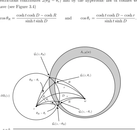 Figure 3.4: Angles in intersection of ∂B t (z) with A r,R (w)
