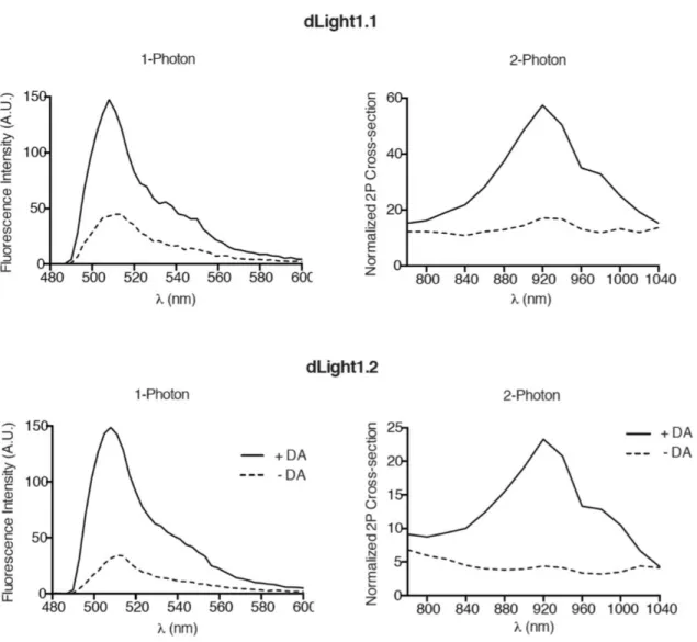 Fig.  S3.  One  photon  emission  spectrum  and  two-photon  cross-section  of  dLight1  expressed in HEK293T cells