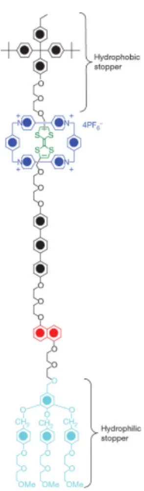 Figure 5.2. Molecular structure of a  amphiphilic, bistable [2]rotaxane 