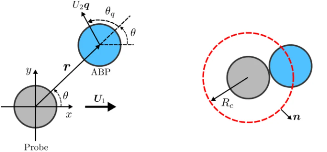 Figure 5.3: Schematic of a probe particle driven at a constant velocity U 1 and an active Brownian bath particle in 2D