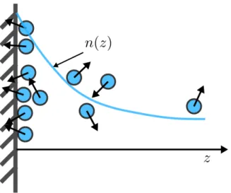 Figure 1.1: Schematic of ABPs on one side of an infinite planar wall ( 𝑧 = 0) and the number density distribution.
