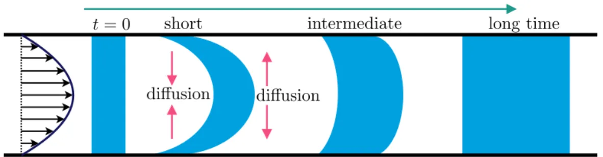 Figure 2.1: Schematic of the Taylor dispersion process of passive matter in a pressure driven flow.