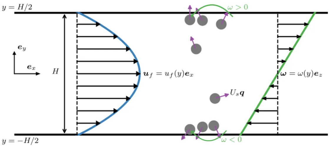 Figure 2.4: Schematic of active Brownian particles suspended in a planar Poiseuille flow between two parallel plates