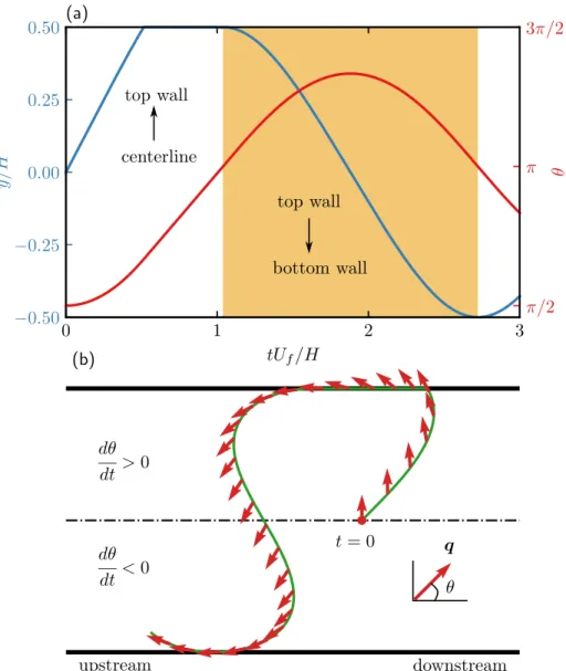 Figure 2.6: (a) Initial trajectory 𝑦 / 𝐻 (blue, left axis) and orientation angle 𝜃 (red, right axis) as a function of the dimensionless time 𝑡𝑈 𝑓 / 𝐻 for a non-Brownian active particle