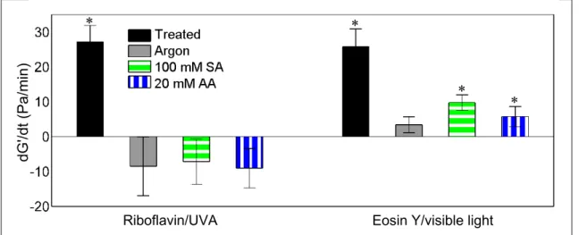 Figure 2.2. Average rate of change in storage modulus during 30-minute irradiation of  collagen gels containing (left) 0.05% riboflavin (370 nm at 3 mW/cm 2 ) and (right) 0.02% 