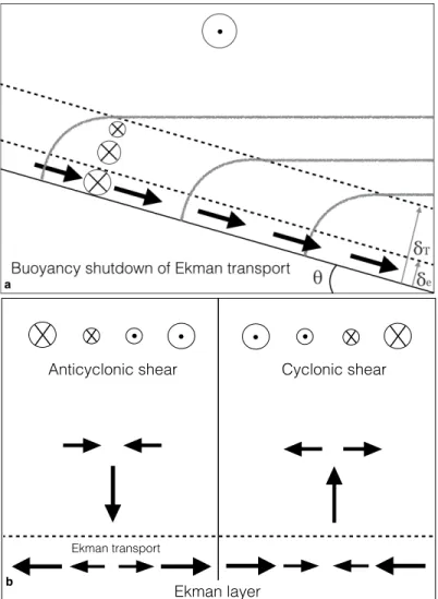 Figure 5.1: Schematic representation of bottom boundary layer processes consider- consider-ing in this study: (a) buoyancy shutdown and (b) frictional spin-down