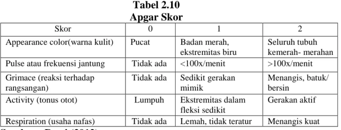 Tabel 2.10  Apgar Skor 