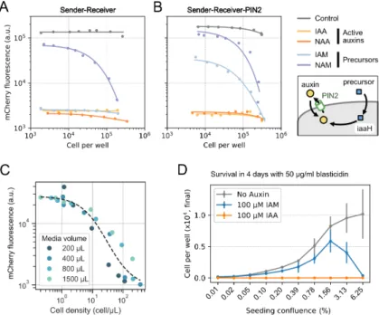 Figure 2.5: Sender-Receiver cells sense their population density and regulate sur- sur-vival accordingly.