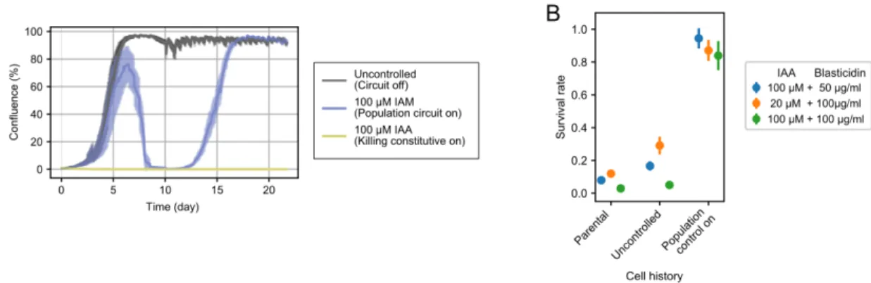 Figure 2.7: Cells with simple negative feedback circuit is susceptible to cheaters.
