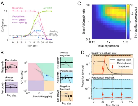 Figure 2.9: Paradaux cells are predicted to be robust to cheaters.