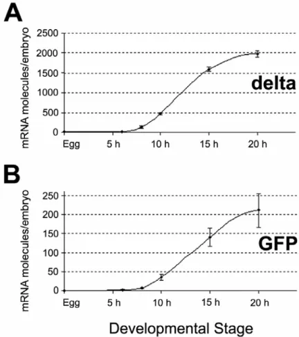 Fig. 2.2. Temporal expression pattern of endogenous delta gene compared to the temporal  expression pattern of GFP mRNA from the R11-GFP reporter construct