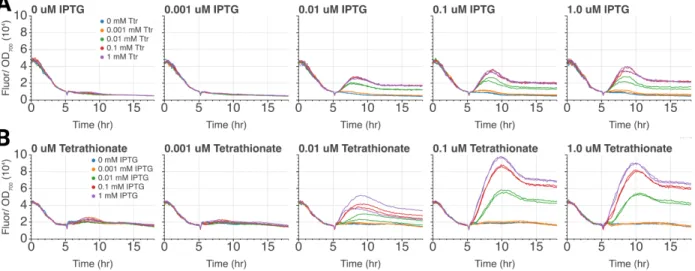 Figure 6: AND Inducer Spike Experiments. A. LM42 is grown in varying amounts of IPTG until the five hour mark, when five concentrations of  tetrathion-ate are added to the wells