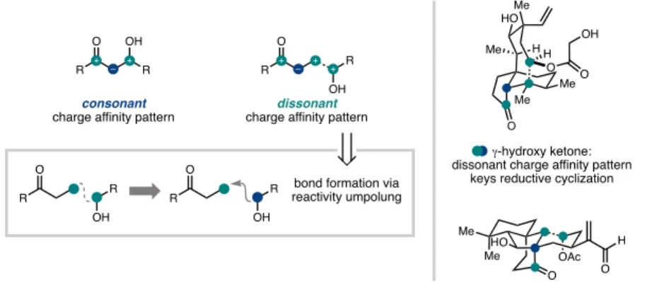 Figure 1.3 Oxidation guides C–C bond formation 