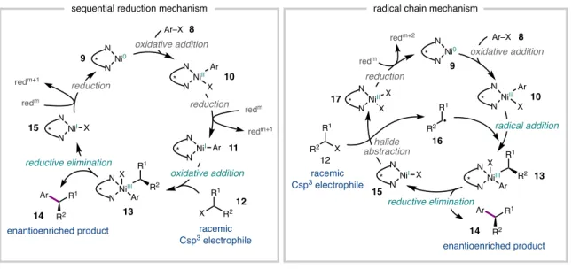 Figure 2.4 Proposed mechanistic hypotheses 