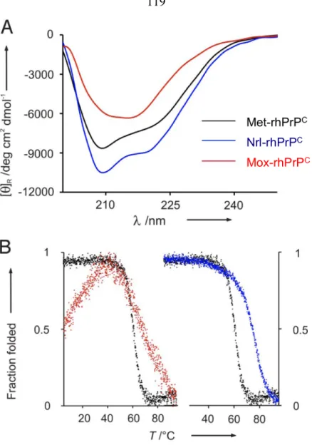 Figure 1.6. Secondary structure analysis and thermal denaturation of recombinant human  prion  protein  (rhPrP C )  containing  methionine  analogs