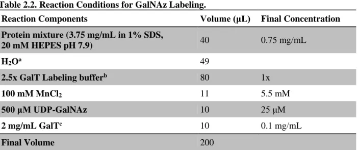 Table 2.2. Reaction Conditions for GalNAz Labeling. 