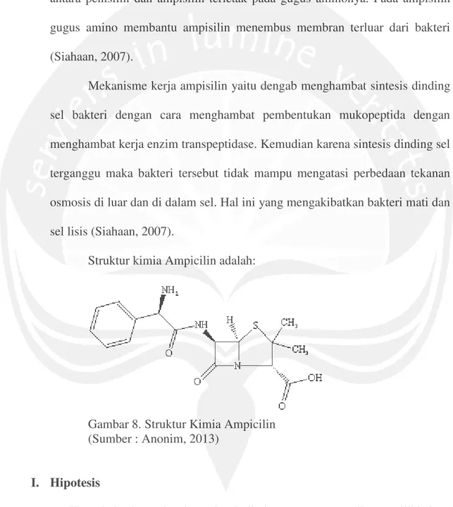 Gambar 8. Struktur Kimia Ampicilin (Sumber : Anonim, 2013)