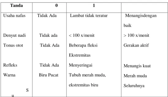 Tabel 2.10 Apgar Score 