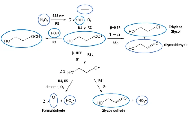 Figure 1:  Schematic of oxidation chemistry studied in this chapter to investigate the water  vapor  dependence  of  the  β-HEP  self  reaction