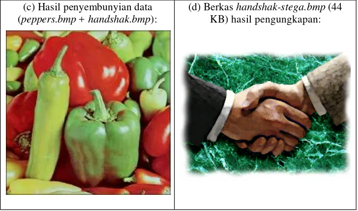 Gambar 13.4 Penyembunyian citra handshaking ke dalam citra berwarna 24 bit (peppers.bmp) 