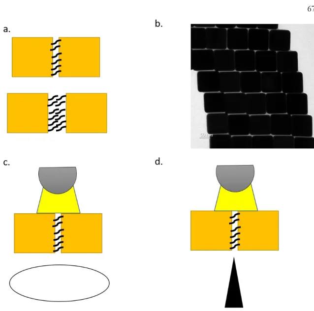Figure SA1: Experimental Design . a. The fabrication of MIM cavity structures with  variable  gaps