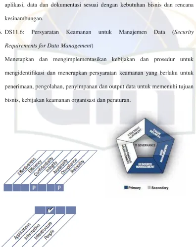 Gambar 2.6: Standar Informasi, jenis dan fokus area yang didukung DS10 