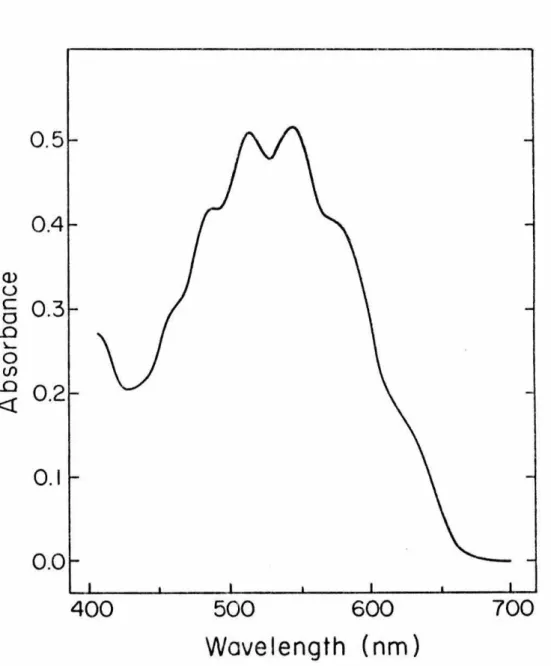 Figure  4.  Visible  spectrum  of~  at  -78°  i n  diethyl  eth er . 