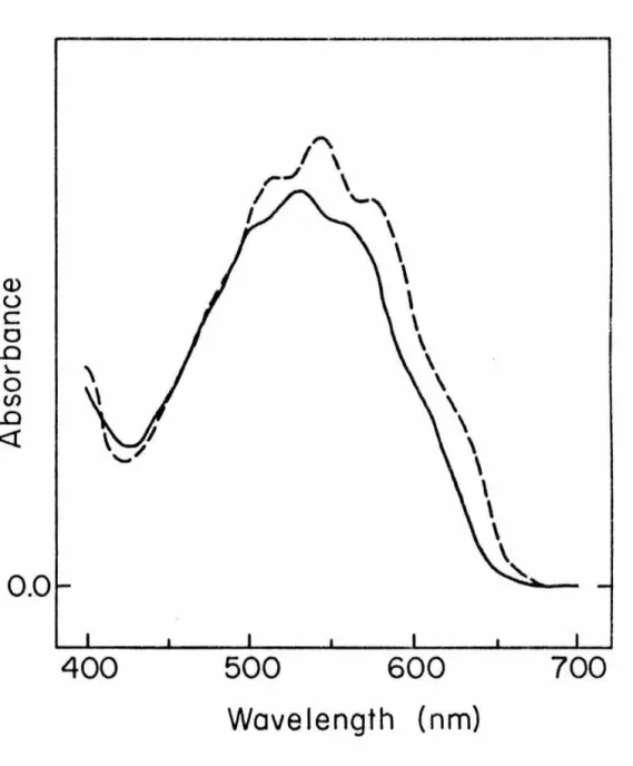 Figure  5.  Visible  spectrum  of  33  at  -78 °  in  dichloro- dichloro-methane,  A  541  nm  (---);  in  isopropyl  alcohol, 