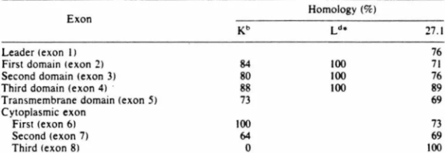 Table  I. Homology of the exons of the translated L d gene (27.5) to the corresponding regions of  the  translated  pseudogene  27.1  (4)  and  to  the  K" (/])and  Ld  (JJ)  molecules