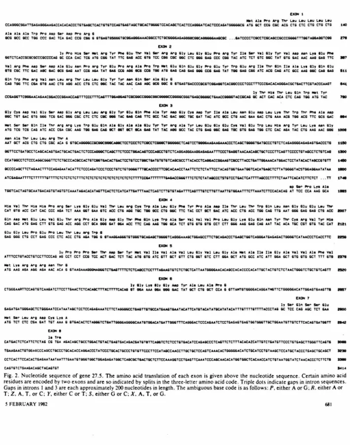 Fig.  2.  Nucleotide  sequence  of gene  27.5.  The  amino  acid  translation  of each  exon  is  given  above  the  nucleotide  sequence