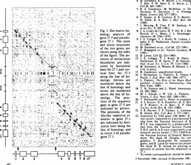 Fig. 3. Dot  matrix  ho- ho-molog y  analysis  of  gene  27 .5 and   pseudo-gene  27  .I