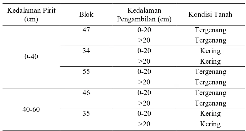 Tabel 5. Kondisi pengambilan sampel isolat bakteri pereduksi sulfat asal tanah sulfat masam 