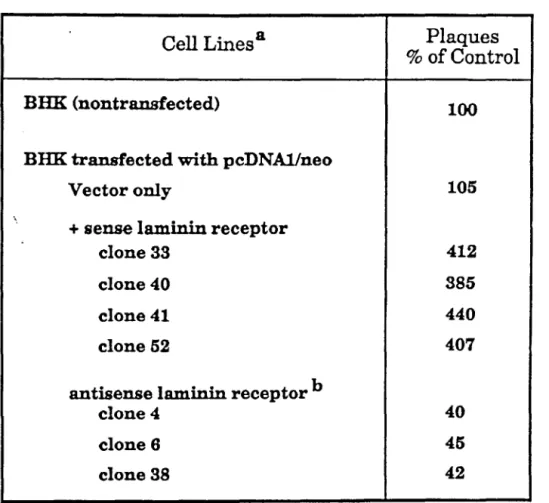Table 3. Sindbis Virus :plaque Formation on  pcDNAlIneo Transfected BHK 