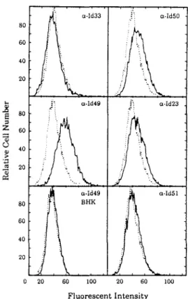 FIG.  4.  Binding  of  a-Ids to the cell  suriace.  Monolayers of chiCKen  cells  or  BHK  cells  were  washed  With  PBS  laCKing  divalent  cations  and removed from  the culture dish by treatment With 4 mM EDTA In  PBS  for  10  min  at  37'