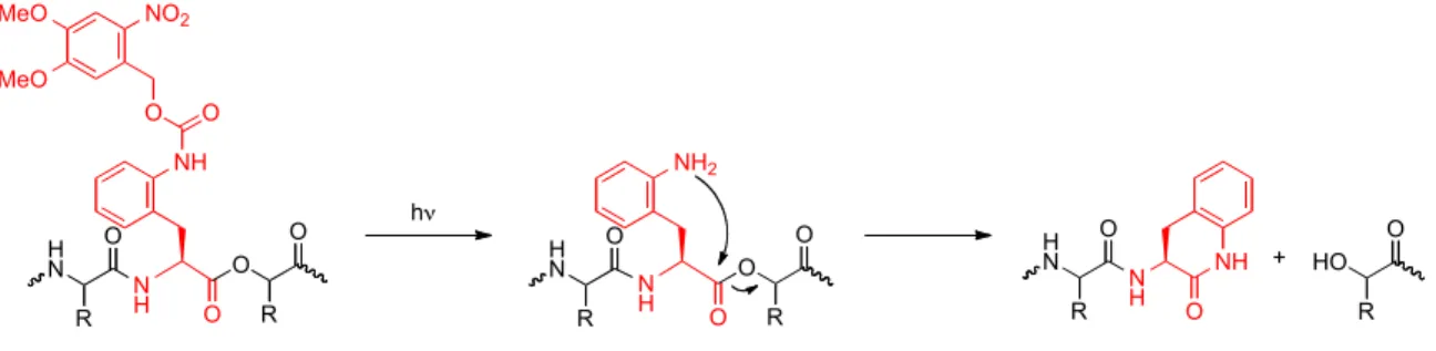 Figure 6.4.  Proposed photochemical cleavage strategy using α-hydroxy acid 7. 