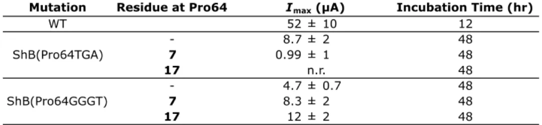 Table 6.2.  Current (I max ) obtained for studies with 7 and 17 at Pro64 in ShB. “n.r” stands for no  response