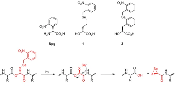 Figure 6.1. Npg and the second-generation SNIPP unnatural α-hydroxy acids, 1 and 2. 