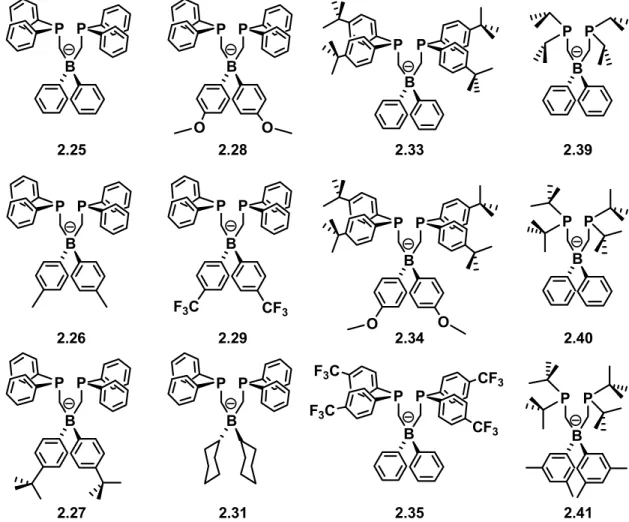 Figure 2.2.  Representative drawings of the bis(phosphino)borates discussed. 