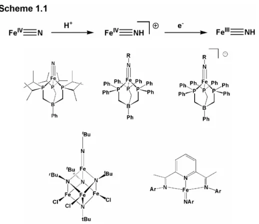 Figure 1.4 Some recent examples of terminal iron imide and nitride complexes.