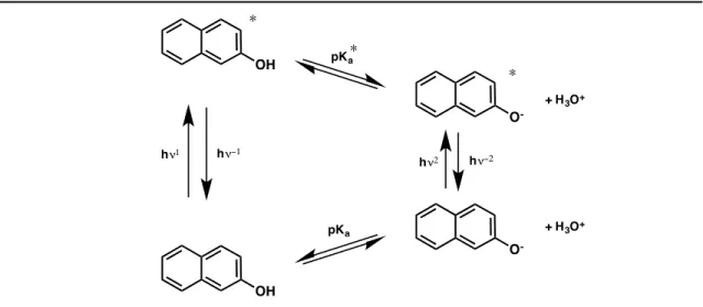 Figure 2.  Förster cycle used for the determination of pK a * from the known pK a , excitation wavelengths  (hν 1  and hν 2 ) and emission wavelengths (hν −1  and hν −2 ) for 2-naphthol.