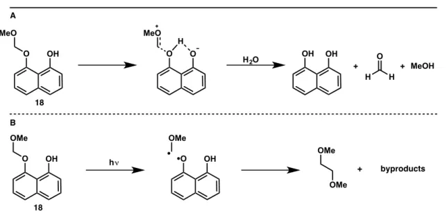 Figure 8. A) Reported general-acid catalyzed mechanism for the hydrolysis of 18.  B) Radical process  that leads to the observed photolysis product, 1,2-dimethoxyethane.