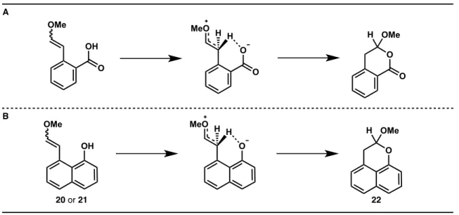 Figure 9. A)  Reported intramolecular general-acid catalysis for a benzoic acid analog of 20/21