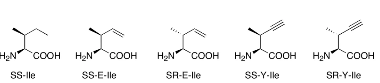 Figure  II-1.   Unsaturated  isoleucine  analogues  SS -E-Ile  and  S R -E-Ile  differ  in  the stereochemistry at the β-carbon